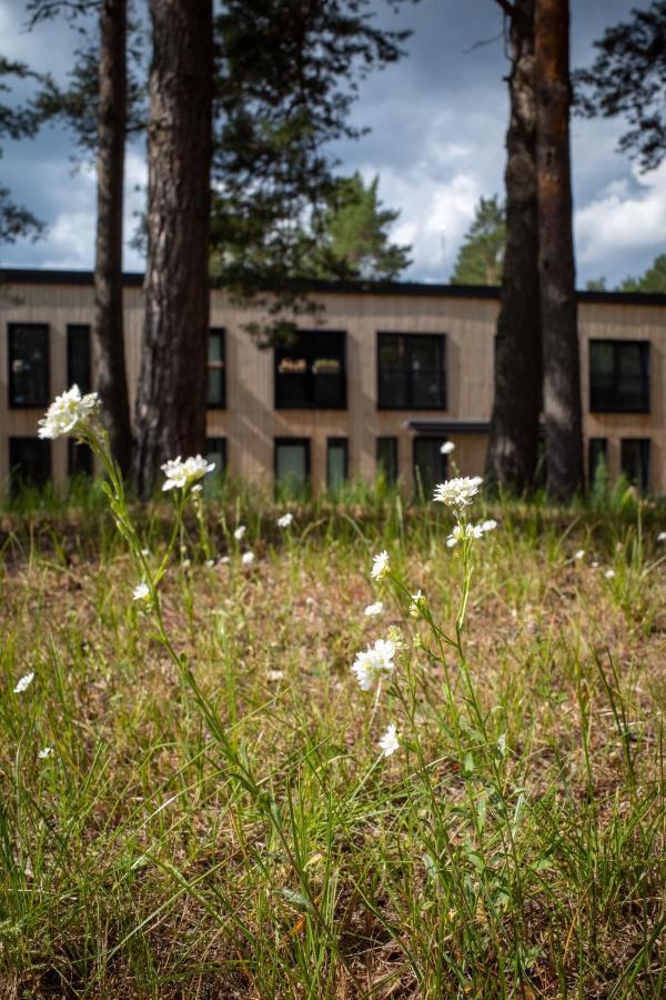 Apartmán 11 Pine View Ķesterciems Exteriér fotografie